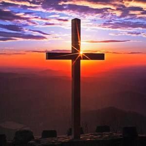 Meet your Posher, Charlene